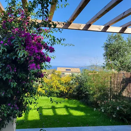 Giardinu Di Luce - Appt Pour 4 Vue